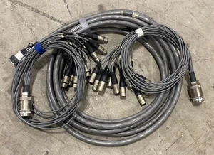 12 Channel 20ft (6m) Cannon Multipin Snake + XLR Fan In/Out Audio Stage Cable - Picture 1 of 11