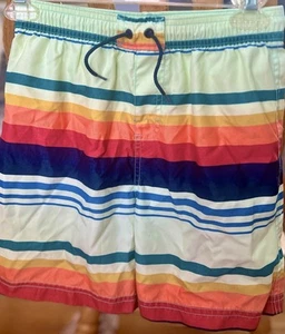 TEA COLLECTION BOYS Multicolor Stripe Swim Trunks/Shorts Size 10 EUC - Picture 1 of 4