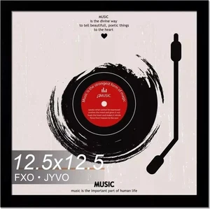 Vinyl Record Frame Wall Display Album Cover Black For 12 Inch LP Record W/ Cover - Picture 1 of 4