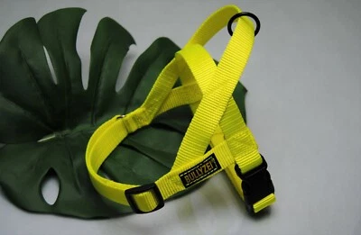 Bullyzei Norwegergeschirr Neon-Gelb Gr.S-M Bulldogge Collie Bullterrier Beagle - Bild 1 von 2