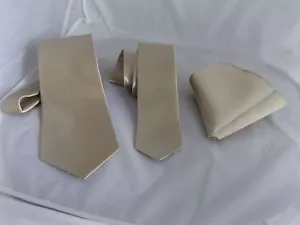 Shiny Champagne Polyester Tie Classic 3.3" OR Skinny 2.5" OR Bow tie OR Set - Picture 1 of 17