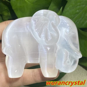 3" Selenita Natural Cuarzo Elefante Cristal Rebanada Calavera Punto Curación Regalo 1 pieza - Imagen 1 de 11