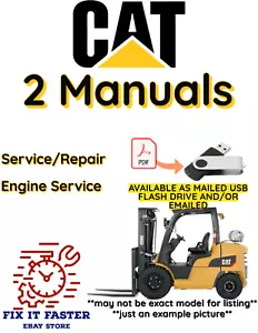 CAT GP15 CARRELLO ELEVATORE BRUCO SERVIZIO RIPARAZIONE MOTORE OFFICINA MANUALE PDF USB - Foto 1 di 7
