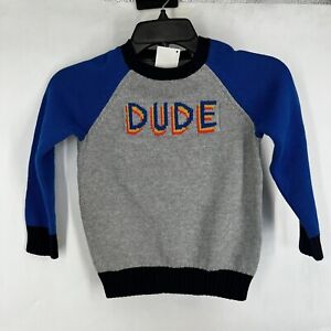 New Gymboree Boys Dude Print Knit Crewneck Sweater Xs 4 Grey Blue Color Block