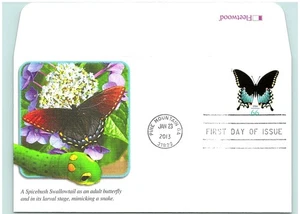 S05-3113, SPICEBUSH SWALLOWTAIL BUTTERFLY, FLEETWOOD FDC - Picture 1 of 2