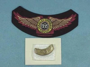 Patch e spilla Harley-Davidson 1998 - Foto 1 di 1