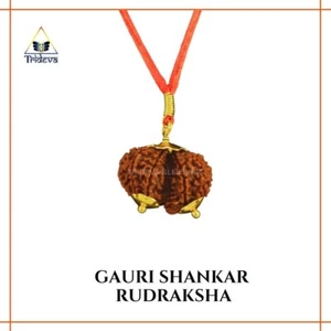Gaurishankar Rudraksha Pendant made in Golden Metal – Authentic Nepal Origin - Picture 1 of 3