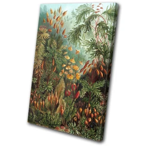 Botanical Tropical Vintage Floral SINGLE CANVAS WALL ART Picture Print - Picture 1 of 1