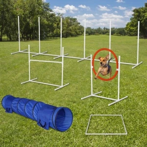 Paquete de 6 equipos de entrenamiento de agilidad para perros mascotas al aire libre patio trasero conjunto de curso de inicio EE. UU. - Imagen 1 de 7