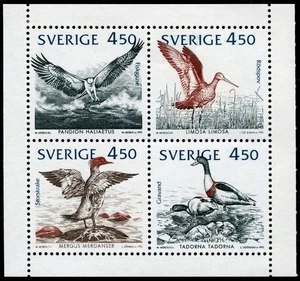 SVEZIA 1994 Uccelli - WWF, birds 8v in libretto - Picture 1 of 1