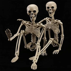 HBSTK Paquete de 2 40 Pulgadas Halloween Esqueleto Cuerpo Completo Posable Movible Jonints. - Imagen 1 de 6