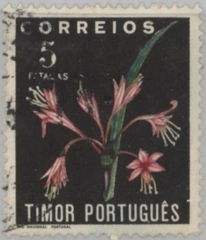 Timor (Portuguese) 1950 Flower set 5p, used Cover