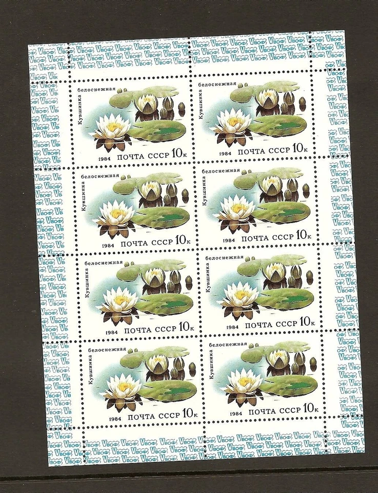 RUSIA AÑO 1985, SC 5254A, MI 5354A, MNH, MINI HOJA (ARCO PEQUEÑO), FLORES Foto 1 de 1