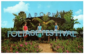 Tor zu Apopka Floridas 1965 Laubfest Florida Postkarte - Bild 1 von 2