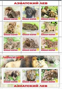 Stamp sheet+block Asian Lion South ossetia issue 2021 Nature Fauna - Picture 1 of 1