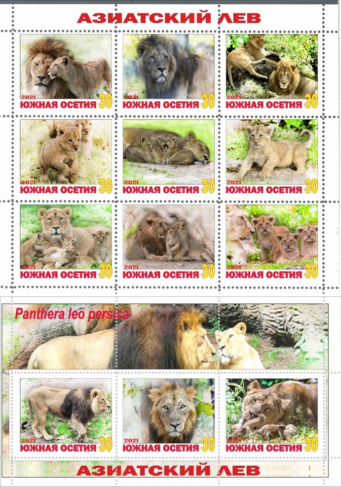 Stamp sheet+block Asian Lion South ossetia issue 2021 Nature Fauna - Image 1 of 1