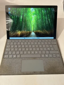 Microsoft Surface Pro 12.3 in Tablet i5-7300U 8GB 256 GB NVMe SSD Windows 11 - Picture 1 of 6