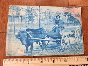 c 1900 Nice Georgia Cyanotype Photograph - Picture 1 of 3