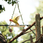  Parrot Summer Hammock Climbing Toy Parakeet Playground Peony