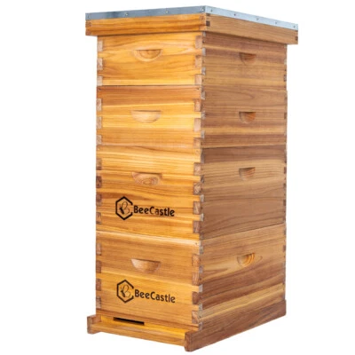 BeeCastle 10 Frame Beehive Kit Complete, Beeswax Coated, Including Beehive Frame
