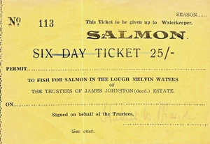 LOUGH MELVIN 25/- 6 DAY SALMON TICKET, LOUGH MELVIN, 1950. SIZE 5ins x 3.80ins. - Picture 1 of 2
