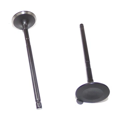 Válvula de escape del motor DNJ EV955 para modelos seleccionados 09-17 Lexus Scion Toyota Foto 1 de 4