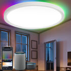 24W Smart LED Deckenleuchte dimmbar Wohnzimmer IP44 RGB 2040LM bluetooth