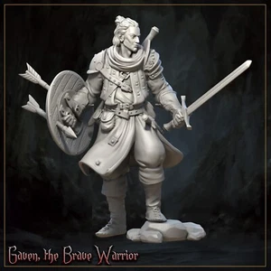 Gaven Warrior Fighter Modellino Mini Miniatura RPG Tavolo Gioco D&D - Foto 1 di 2