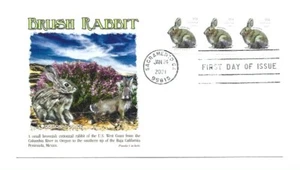 5545 Cepillo Rabbit Coil, Panda Cachets, FDC - Imagen 1 de 1
