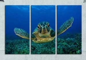 Multi Panel Print Sea Turtle Love Canvas Wall Art Ocean Life Underwater 5 Piece - Picture 1 of 12