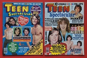 TEEN SPEKTAKULÄR April Juni 1978 Gene Simmons Frampton Cassidy Bay Stadtrollen - Bild 1 von 16