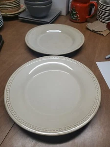 2 - PIER 1 IMPORTS - SPICE ROUTE  SESAME 10 3/4" ROUND DINNER PLATES Euc Bin 120 - Picture 1 of 4