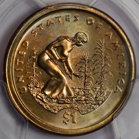 2009 PCGS MS66 Double Struck Native American Sacagawea Dollar Mint Error Amazing Cover