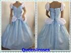 Cinderella Ball Gown Dress Deluxe, Adult - Small/Medium, 32 - 34" Bust, US Ship