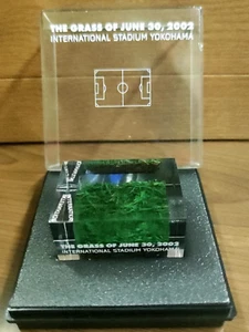 2002 FIFA Korea Japan WM Finale Deutschland gegen Brasilien Stadion Shiba Gras - Bild 1 von 5