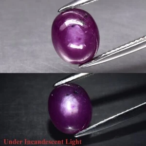 4.58 Ct Natural Purplish Red 6Ray Star Ruby Unheated Oval Cab Gemstone See Video - Picture 1 of 3
