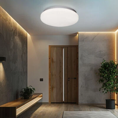 Plafoniera Lampada da Cucina LED Luce Sala da Pranzo Argento Opale D 29 CM - Immagine 1 di 2