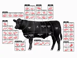 V8946 Cortes de Carne de Carne Ganado Diagrama Arte Decoración PÓSTER DE PARED IMPRESIÓN REINO UNIDO - Imagen 1 de 13