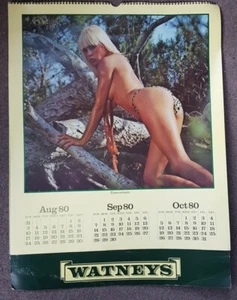 Großer Vintage 1980 WATNEYS British Birds Glamour Pin Up Kalander 45cm×60cm - Bild 1 von 9