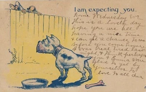 Postcard I Am Expecting You Dog Robber Comic Posted Clifton Springs NY - Picture 1 of 2