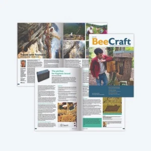 BeeCraft Magazine Back Issues - Picture 1 of 38