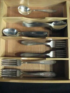 DS SILVER PLATE E.P.N.S. FLATWARE - 49 PCS. - MAKER & CIRCA UNKNOWN - Picture 1 of 1