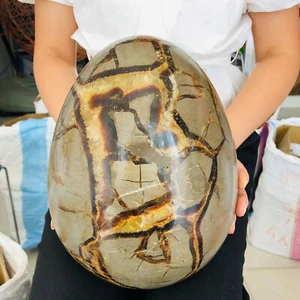 31.79LBNatural Dragon Septarian Geodetic Survey Quartz Crystal Egg Healing14450g - Picture 1 of 7