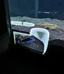 Aquarium Decor Corner Double Hole Cave Underground Viewing Hide Kuhli Loach - Picture 1 of 8