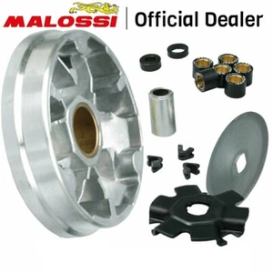 MALOSSI VARIATORE MULTIVAR PER:PIAGGIO SUPERBRAVO 50 PER CICLOMOTORE - Imagen 1 de 3