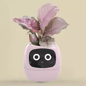 Smart Plant Pot Intelligent Planter 7 Smart Sensors Plant Robot for Home Decor Q - Picture 1 of 25