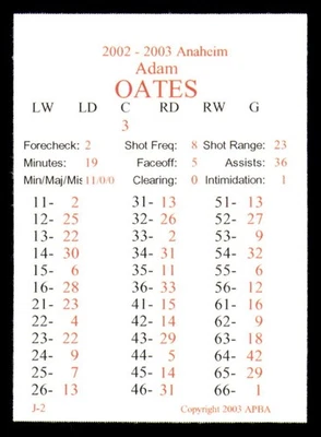 Juego de equipo de temporada de hockey APBA NHL 2002-03 - Anaheim Ducks Foto 1 de 4