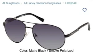 HARLEY DAVIDSON  Men’s SUNGLASSES ~HD0954X/S 10X   62-16-140 3p W/case NWT - Picture 1 of 9