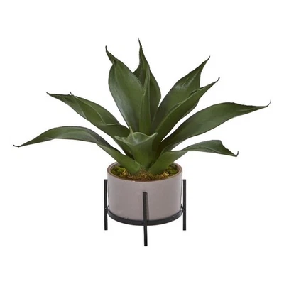 Maceta decorativa casi natural de agave suculenta de 14" en verde/blanco roto Foto 1 de 4