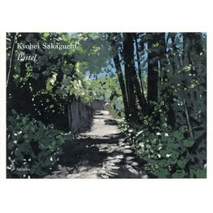 Kyohei Sakaguchi Pastel Japanese Book - Picture 1 of 1